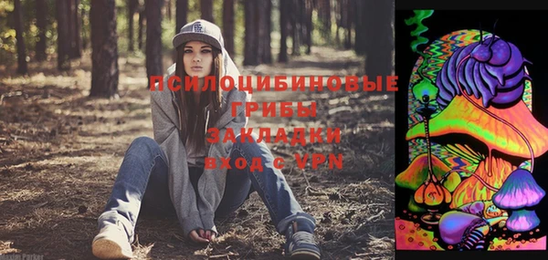 трава Инсар