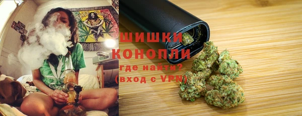 трава Инсар