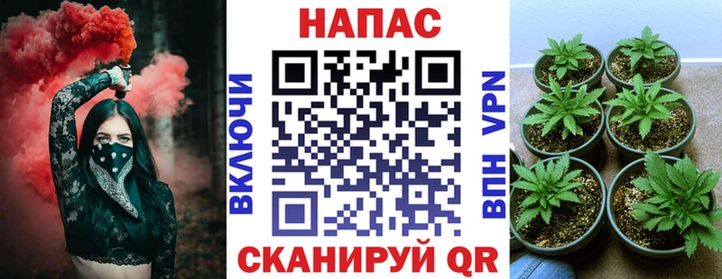 Канабис семена  Ногинск 